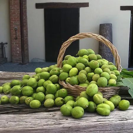 Casale Osvalda לינה וארוחת בוקר Alfiano Natta
